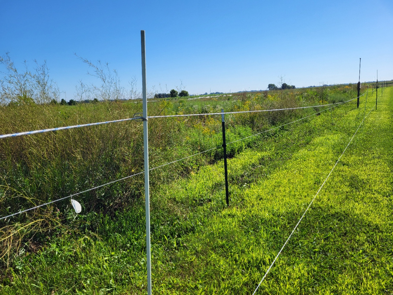 An electrified 3D deer fence.